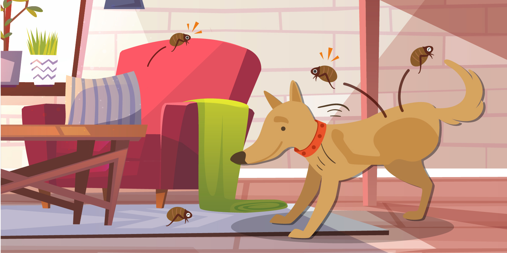 Do Fleas Die Without a Host?