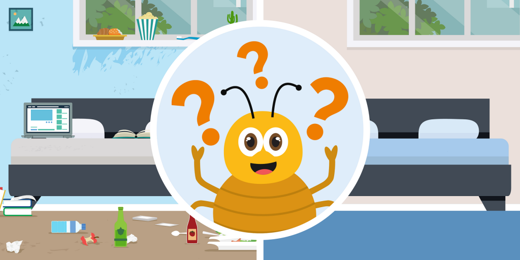 are bed bugs only found in dirty beds?
