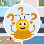 Are Bed Bugs Only Found in Dirty Beds?