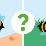 do bees die after stinging?